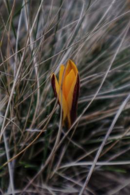 Прикрепленное изображение: IMG_0076_Enhancer_ц.jpg